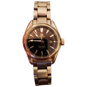 Omega seamaster 300  steel watch