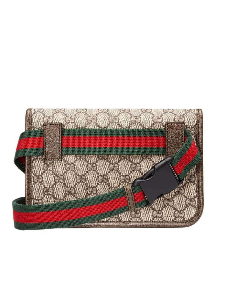 Neo Vintage GG Supreme Belt Bag back
