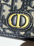 30 Montaigne Nano Pouch in Blue Dior Oblique Jacquard