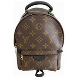 Louis Vuitton palm springs brown cloth backpacks