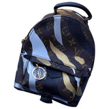 Louis Vuitton palm springs brown cloth backpacks