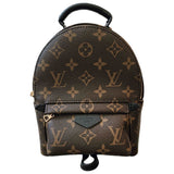 Louis Vuitton palm springs brown cloth backpacks