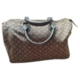 Louis Vuitton speedy brown cloth handbag