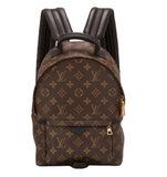 Louis Vuitton Palm Springs Backpack PM