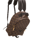 Louis Vuitton Palm Springs Backpack PM