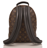 Louis Vuitton Palm Springs Backpack PM