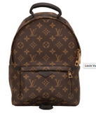 Louis Vuitton Palm Springs Backpack PM