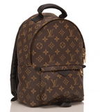 Louis Vuitton Palm Springs Backpack PM