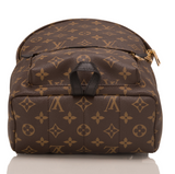 Louis Vuitton Palm Springs Backpack PM