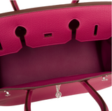 Hermes Tosca Fjord Birkin 35cm Palladium Hardware
