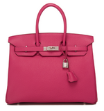 Hermes Tosca Fjord Birkin 35cm Palladium Hardware