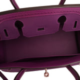 Hermes Anemone Togo Swift Ghillies Birkin 30cm Palladium Hardware