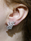 19.00 carat Diamond Earrings and 18KWG.