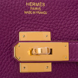 Hermes Anemone Togo Birkin 35cm Gold Hardwar