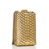 Chanel Paris in Rome Gold Python Il Quadrato Minaudiere