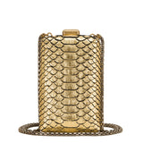 Chanel Paris in Rome Gold Python Il Quadrato Minaudiere