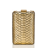 Chanel Paris in Rome Gold Python Il Quadrato Minaudiere