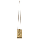 Chanel Paris in Rome Gold Python Il Quadrato Minaudiere