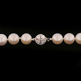 10.0mm-12.0mm South Sea Cultured Pearls