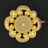 Yellow gold plant motif brooch and fine pearls