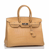 Hermes Mais Matte Alligator Birkin 35cm Palladium Hardware (Preloved - Mint)