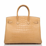 Hermes Mais Matte Alligator Birkin 35cm Palladium Hardware (Preloved - Mint)