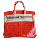 Hermes Hermès Birkin bag 25 Bougainvillea