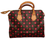 Louis Vuitton Louis Vuitton Speedy bag 25 Cherries collection