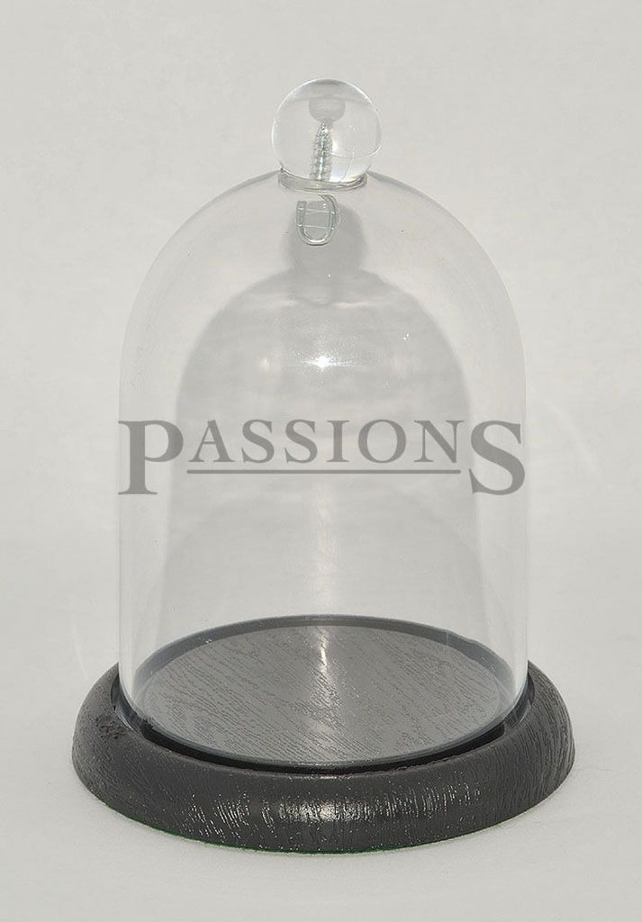 A & F Pocket Watch dome in plastic