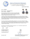 10.18ctw Blue Sapphire and 1.76ctw Diamond 14KT White Gold Dangle Earrings