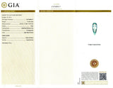14.36ctw Aquamarine and 0.58ctw Diamond Platinum Pendant/Necklace