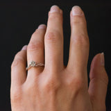 Solitaire white gold diamond