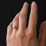 Solitaire white gold diamond
