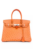 Tangerine Ostrich Birkin 30
