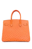 Tangerine Ostrich Birkin 30