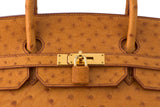 Chestnut Ostrich Birkin 40