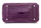 Amethyste Crocodile Niloticus Lisse Birkin 30