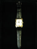 Omega Vintage