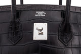 Black Crocodile Niloticus Mat Birkin 35