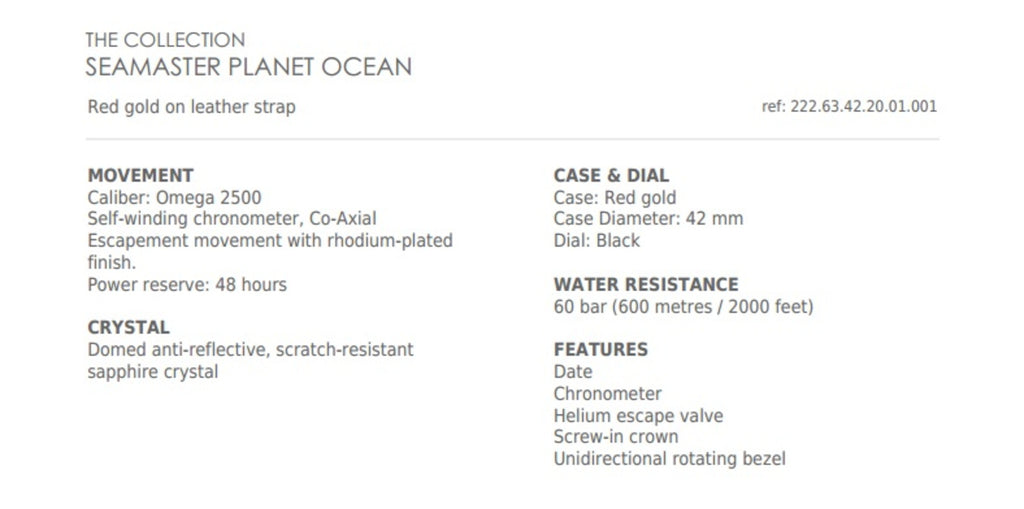 Omega Seamaster Planet Ocean 600m