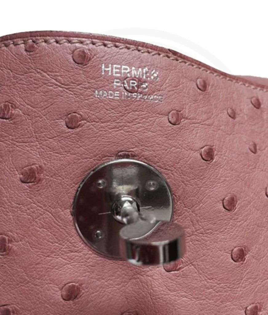 Hermès Terre Cuite Ostrich Lindy 26 Palladium Hardware, 2015
