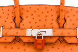 Tangerine Ostrich Birkin 30