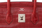 Braise Porosus Crocodile Lisse Birkin 35